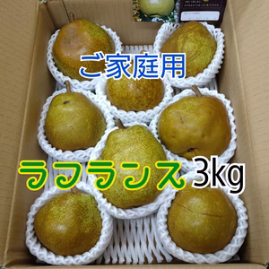 ●ご自宅用●ラ・フランス サイズおまかせ　　【３kg箱詰】