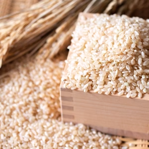 【五分つき米】化学肥料不使用のれんげ米５kg