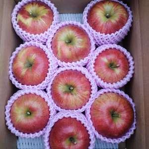 葉とらずりんご「シナノスイート」家庭用、特別栽培