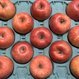 【福袋2023】近日中発送❗️大玉～中玉❗完熟サンふじ 信州りんご(特別価格)