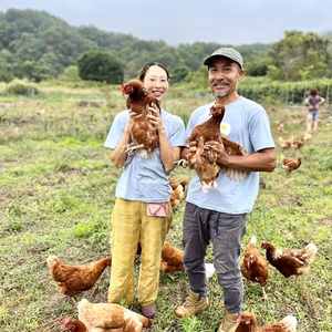 【GW体験商品】北海道で放し飼いコッコちゃんとふれあい体験