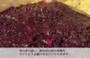 【生で食べられるほどの完熟梅、紫蘇セット】熟して自然落下した南高梅をその日に発送