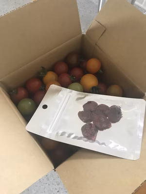 みんなの投稿の画像