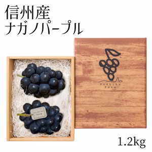 パープル 約1.2kg 極甘！ずっしり大房ナガノパープル２〜３房