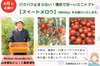 約270人の生産者さんの中から毎月お届け「トマト好きさんの定期便」