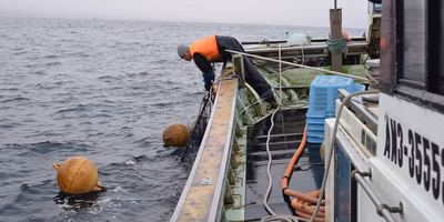すごい漁師は、総合管理能力のある漁師