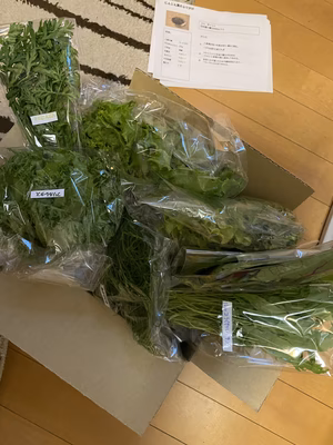 みんなの投稿の画像