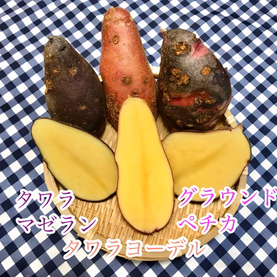 みんなの投稿の画像