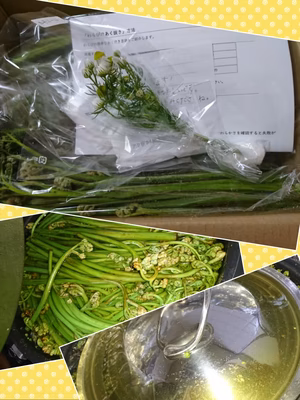 みんなの投稿の画像