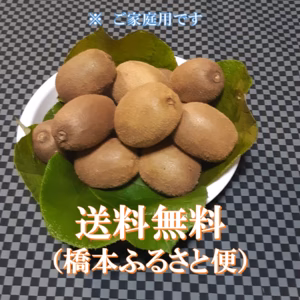 キウイを食べてビタミンCを補給（ご家庭用・１kg入り）