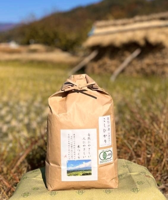 古米 R4年産 1.5kg お試し コシヒカリ 長野県上伊那産 - 米・雑穀・粉類