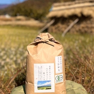 お買得♪古米価格でご提供 有機栽培コシヒカリ【玄米】令和4年産