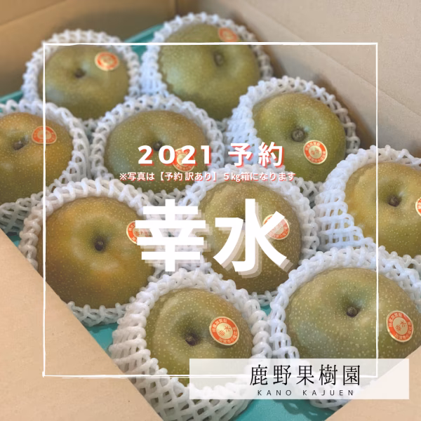 【予約商品】石川県産「加賀梨」サイズいろいろ！幸水,豊水