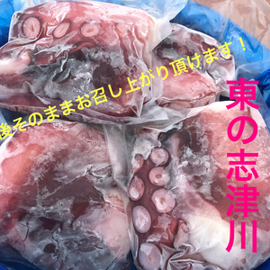 お中元、お日にち指定可♪西の明石、東の志津川　全国ブランド　ミズタコ600g 足