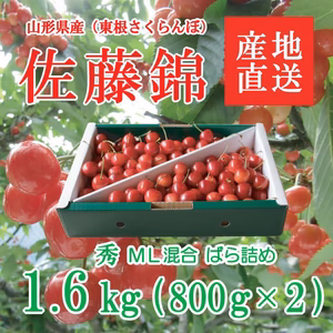 再販『佐藤錦』訳あり M玉L玉混合 1.6kg(800g×2)