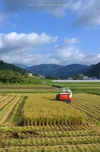 【令和元年産米】特別栽培米コシヒカリ白米1キロ×２袋