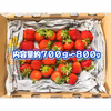３種類から選べる！夏秋いちご「すずあかね」セット