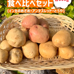 ３種類の春じゃが 食べ比べセット各500g入り