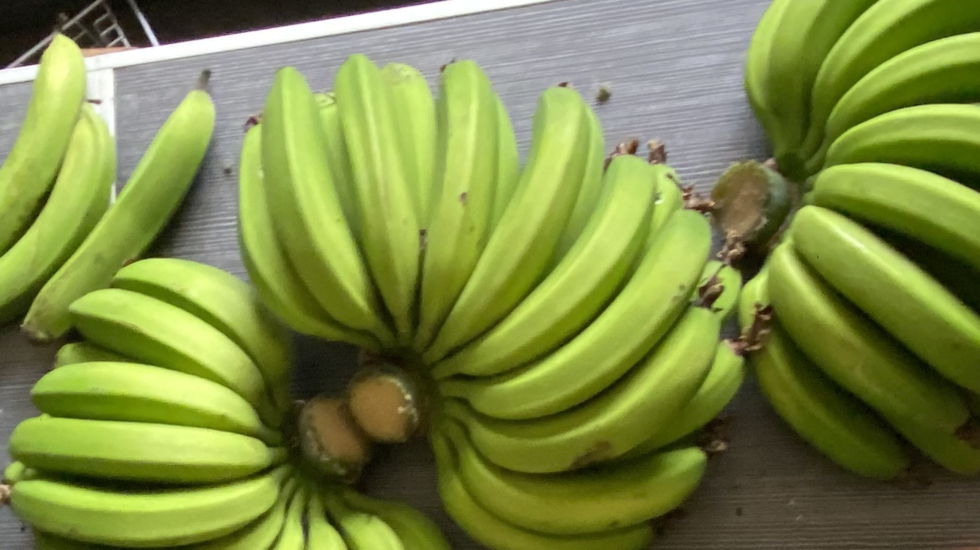 調理用 青バナナ 蒸しても、揚げても、炒めても美味しい❗️｜野菜の