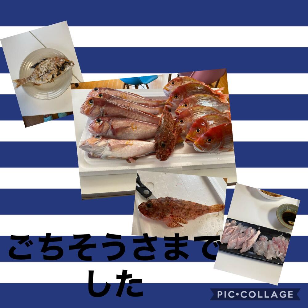 高級魚 天然甘鯛 徳栄丸 農家漁師直送のポケットマルシェ