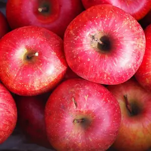 【わけありサンふじ】家庭用4.5kg入り✨果汁溢れる濃厚な味わい！毎日のりんごに