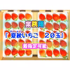 【★超特急★20玉/2L】青森県下北産　夏秋いちご「赤い妖精」【業務用】