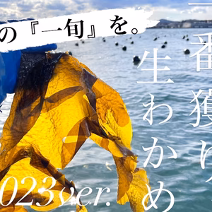 2023年度版『一旬を味わう』今しか食べられない1番獲り生わかめ