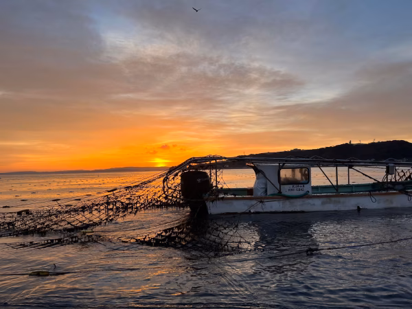 【特価】3月1日２日限定！【江戸前ツゥな海苔好きな方へ】焼海苔3帖【丸良感謝祭】