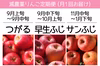 減農薬りんご【9〜1月定期便】 訳あり 家庭用 3kg/5kg