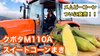 北海道十勝芽室産極甘スイートコーン　ゴールドラッシュ　とうもろこし　トウキビ