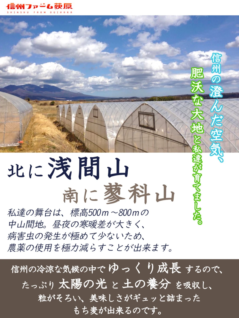 【国内産・農家直送】ぷちぷち！もち麦