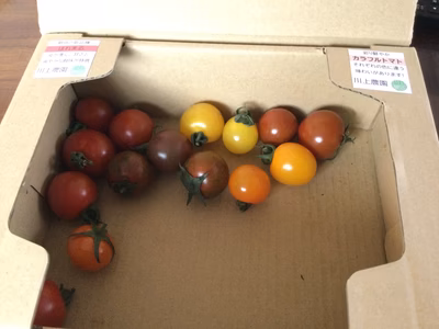 みんなの投稿の画像