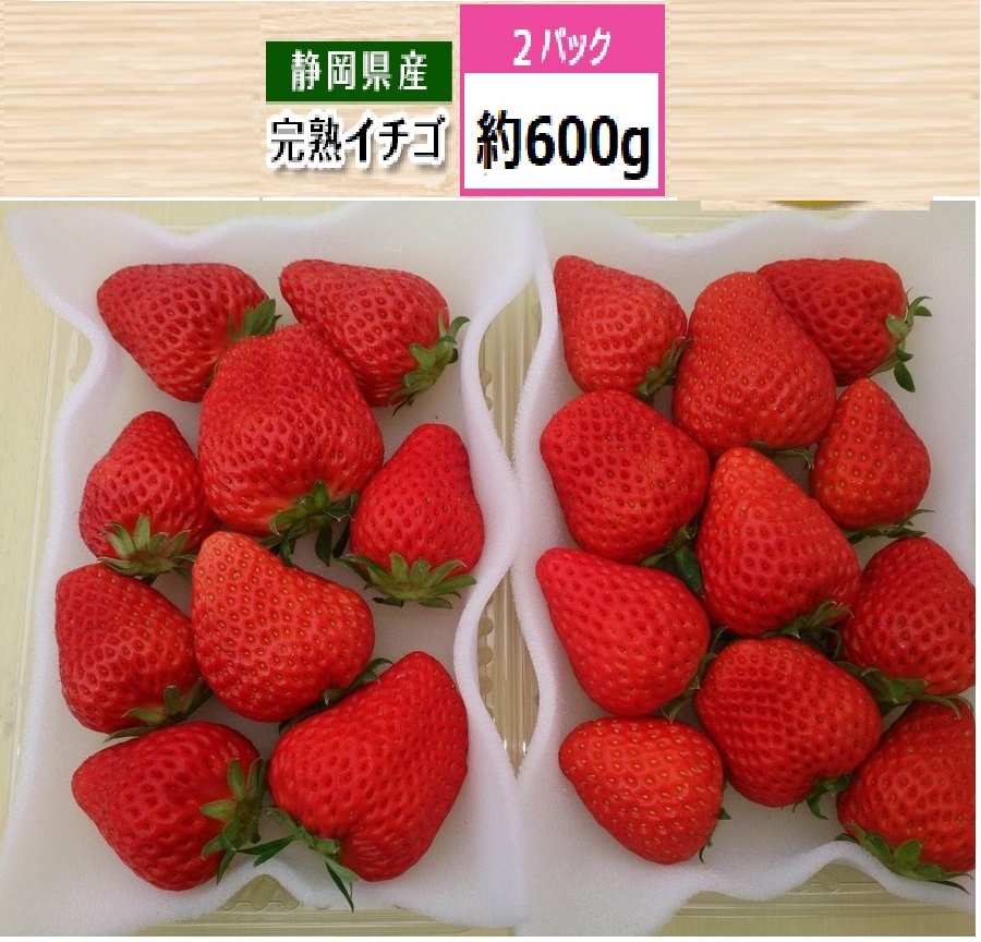 限定セール イチゴ加工用10kg 紅ほっぺ - 果物
