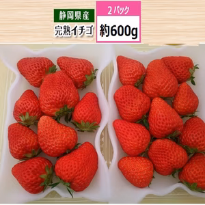 【12月発送】完熟いちご300g 2パック（DXパック）お歳暮意にも最適