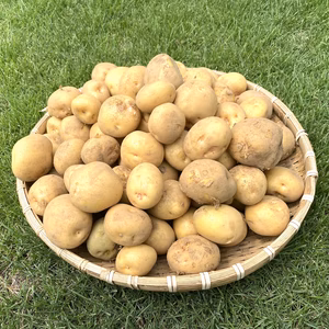 小粒ジャガイモとタマネギのセット 5kg(梱包材含む)