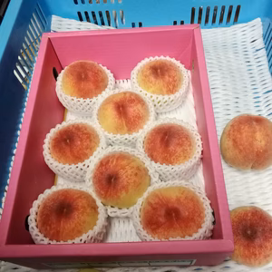 《数量限定》香川県産　桃　千代姫