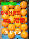 静岡県産　特選　樹なり完熟　清見　約4.8kg