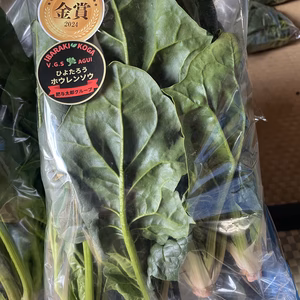 日本野菜ソムリエサミット金賞受賞　『ひよ太郎ほうれん草　5袋』