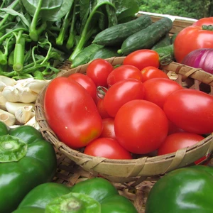 【トマトがメイン】旬の夏野菜おまかせ6品セット（農薬・化学肥料等不使用）