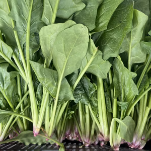 【有機JAS認証】ほうれん草 たっぷり3kg