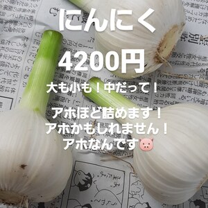 【国産・農薬不使用・泥付き】にんにく　詰められるだけ詰めます！