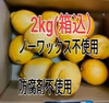 大好評【4/中旬収穫】皮ごと使える安心❣国産ユーレカレモン