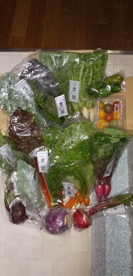 みんなの投稿の画像