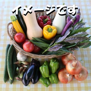 野菜セット「夏」バージョン