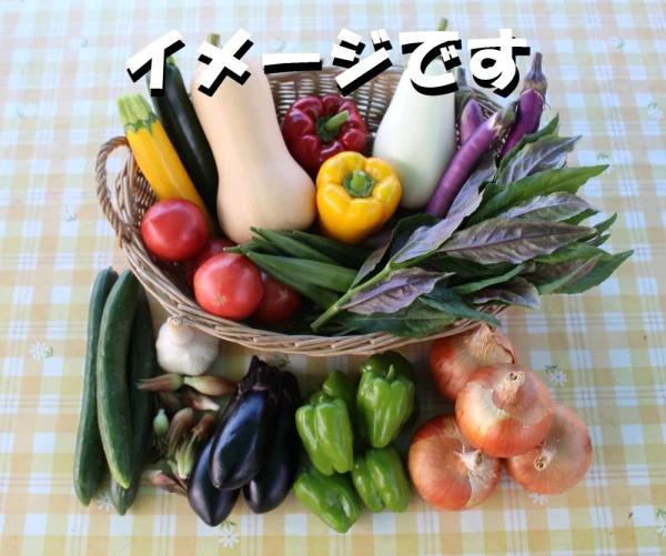 野菜セット「夏→秋」バージョン