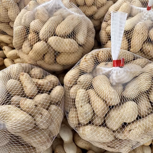 【ゆでたらおいしい”生“落花生】八街産洗いたて”おおまさり“【クール便】