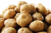 【規格外】リッチな黄金じゃがいも！インカのめざめ 極小2Sサイズ