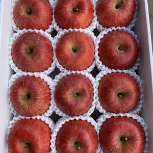 ‼️2箱限定‼️サンフジ【贈答用】