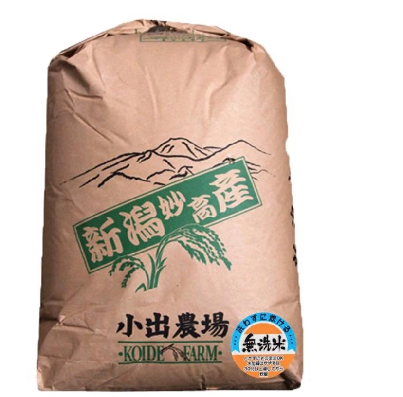 新潟県産　業務用米(無洗米)    25kg     令和4年産