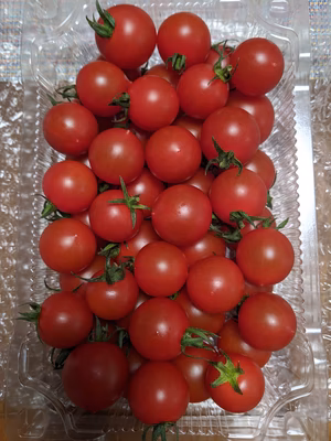 みんなの投稿の画像